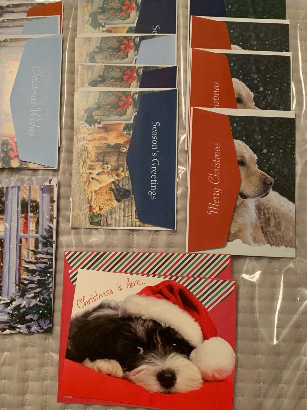 Dog and Cat Christmas Card Variety  (Bundle 32)